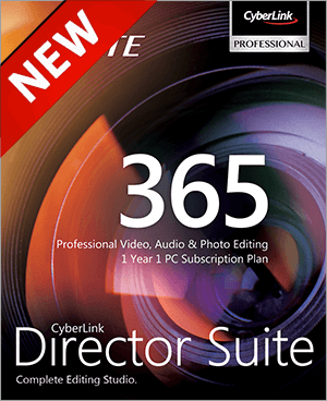 Director Suite 365