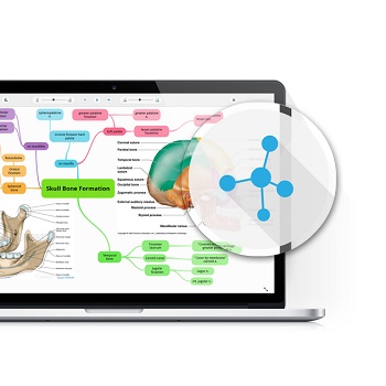 GoConqr Mindmaps - Delve Deeper